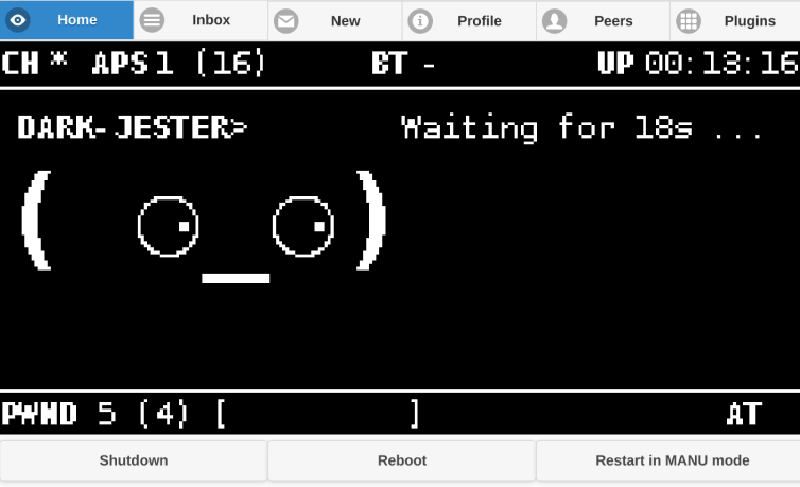 Pwnagotchi web UI screen showing status faces and networks captured