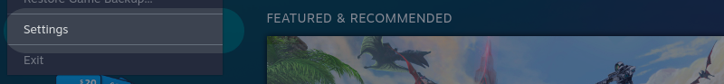 Opening Steam settings panel